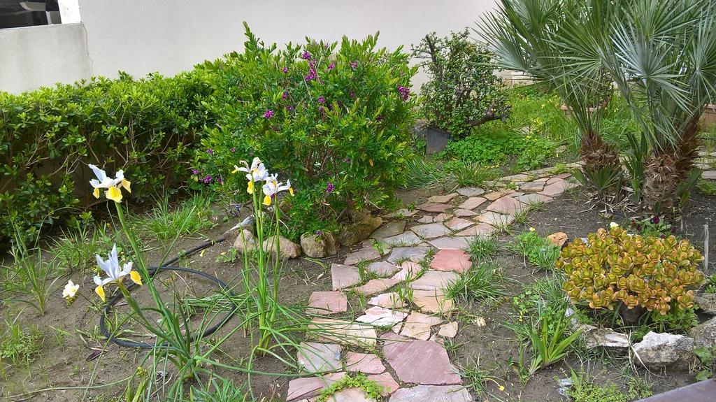 אלגהרו Appartamento Tulipano מראה חיצוני תמונה