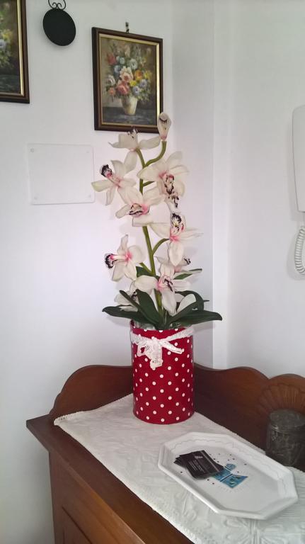 אלגהרו Appartamento Tulipano מראה חיצוני תמונה
